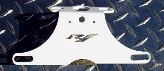 Yamaha '02-03 R1 White NTS Fender Eliminator Tail Tidy / Plate Bracket 2002 2003