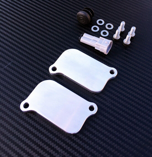 Ducati Panigale 899 959 1199 1299 AIS SMOG Plates SAS Valve Eliminator Kit