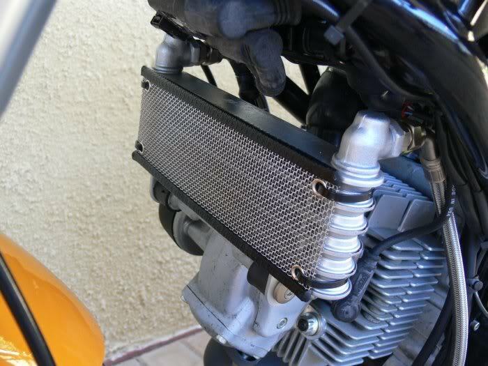 Stainless Oil Cooler Guard - Ducati Monster S2R 1000 & Hypermotard 1100 1100S