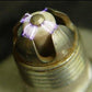 4 x BRISK BOR10LGS Spark Plugs XB9 V-Rod CBR1000F VTR1000F 916 996 TDM850 TT600R