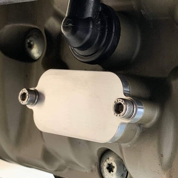 Ducati DesertX AIS SMOG Block Off Plates SAS Eliminator Kit 2022 + DESERT X